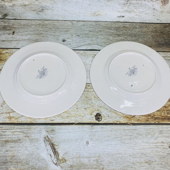American Manor China CHANTILLY Cream Flowers Platinum Salad Lunch Plates Set 7 - Picture 7 of 16